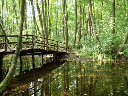 Landgasthof Zum Muehlenteich Eggersdorf  Luaran gambar